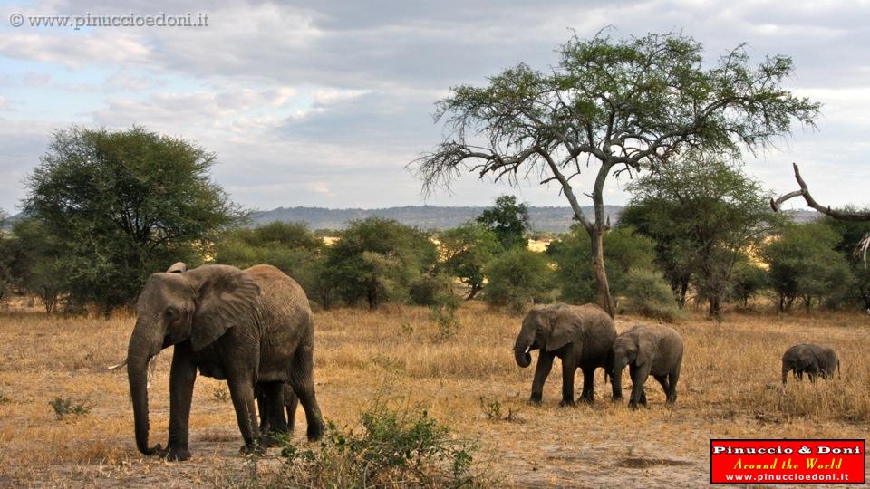 TANZANIA - Tarangire National Park - 29.jpg